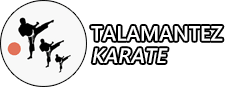 Talamantez Family Karate Center - The Best Karate In Stone Oak, TX